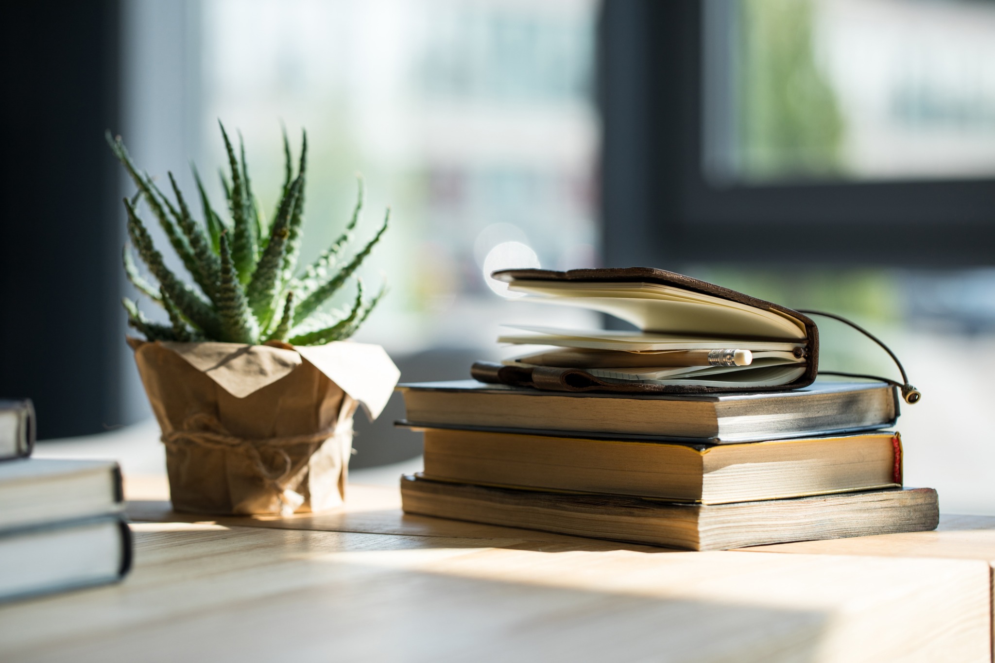 Biblioteca y materiales de estudio